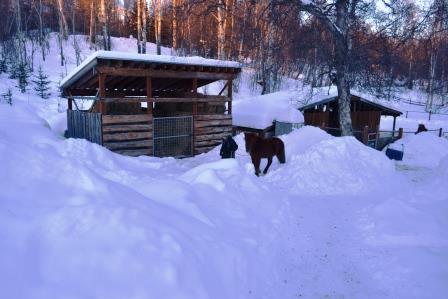 Alys and Tyra pass between two piles of snow
